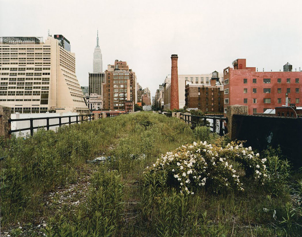Joel Sternfeld, Looking East on 30th Street on a Morning in May (2000)
